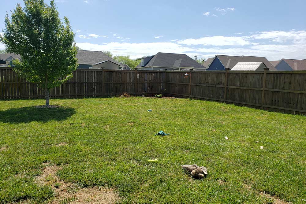 Bad garden with no Artificial Grass
